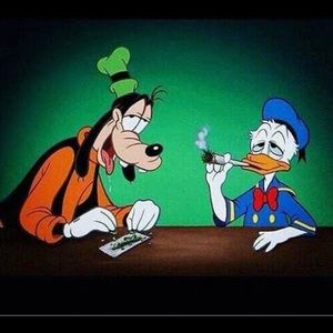 Meet your Posher, Wen